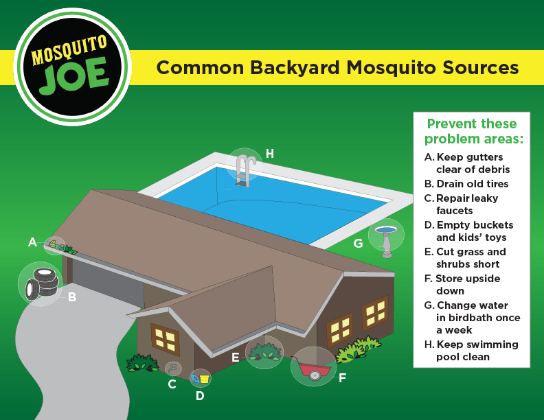 Common Backyard Mosquito Sources